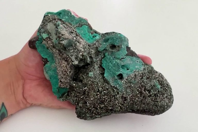 rocha com resíduos plásticos, Ilha de Trindade