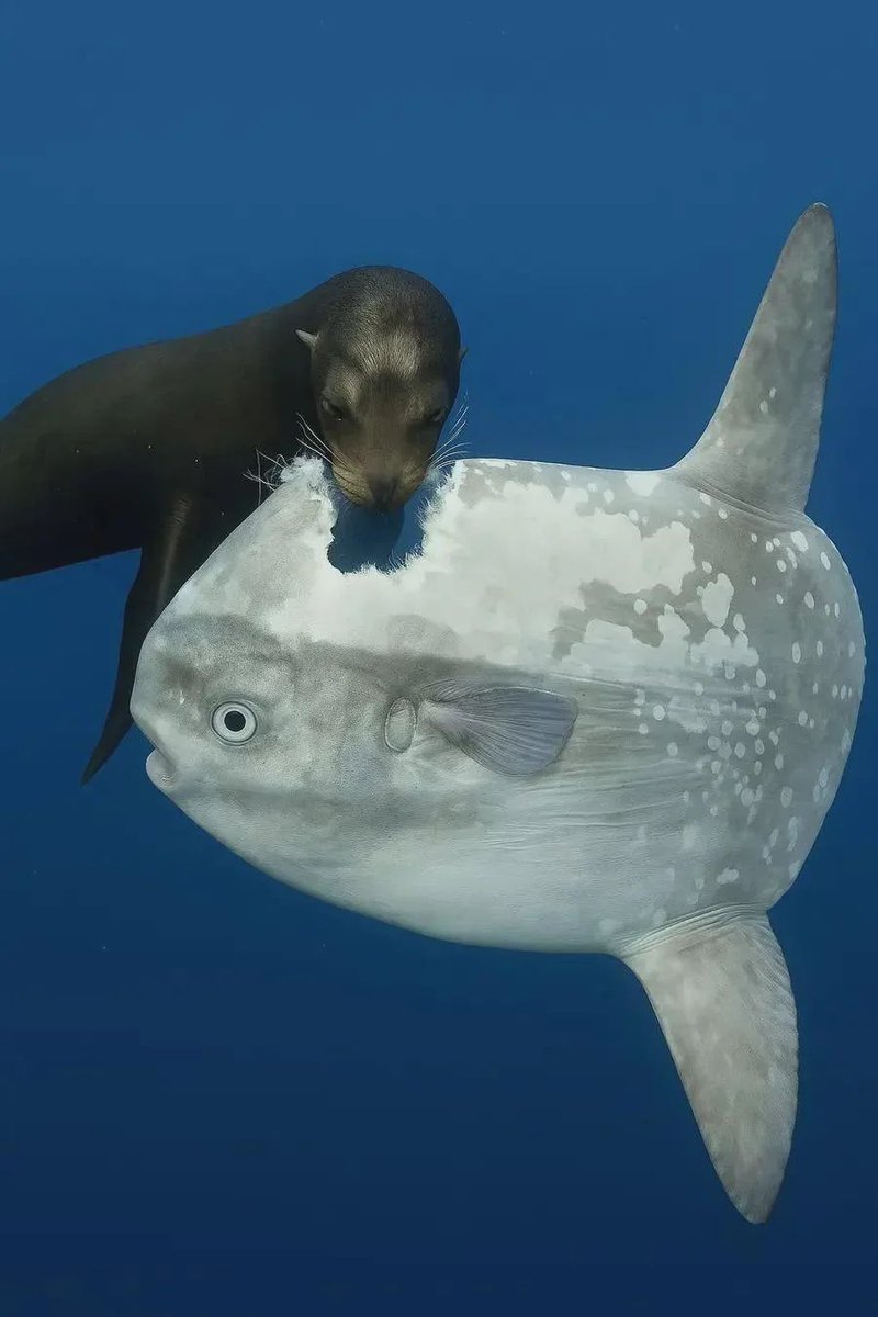 レス3番のサムネイル画像