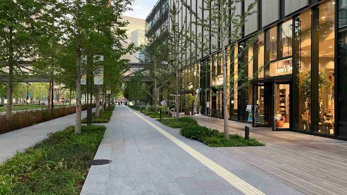 レス5番の画像8