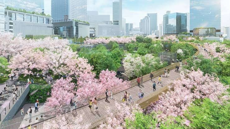 レス8番の画像4