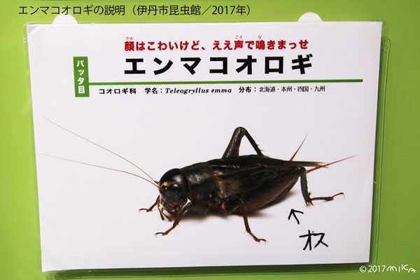 記事サムネイル