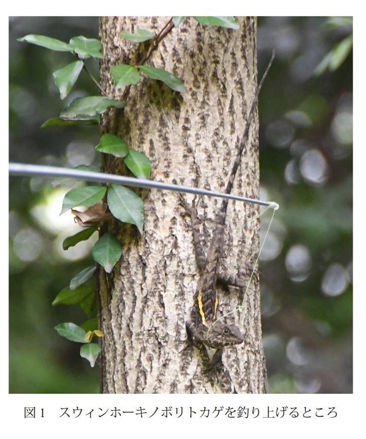 レス1番の画像2