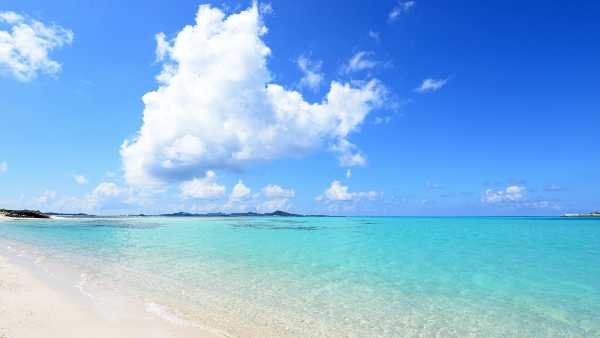 記事サムネイル