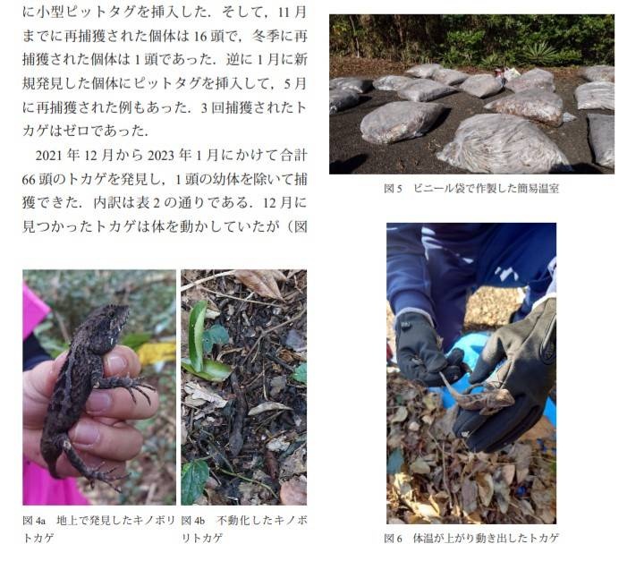 レス1番の画像4