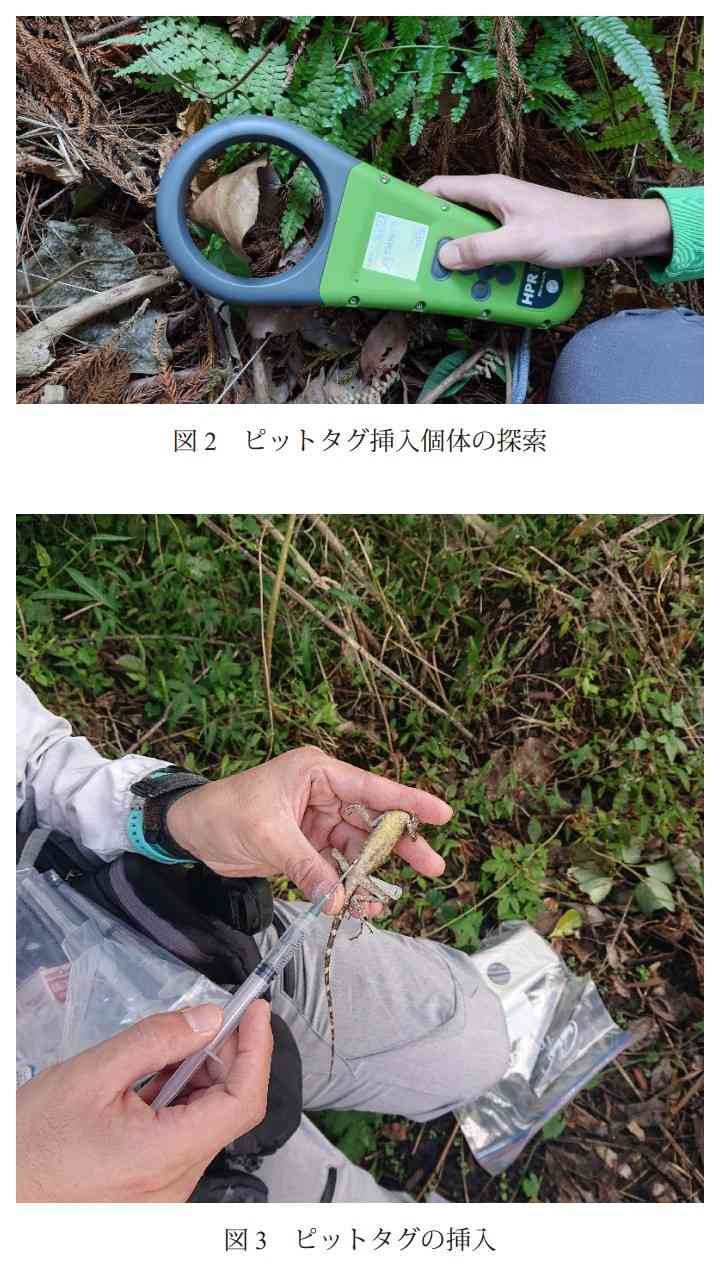 レス1番の画像3