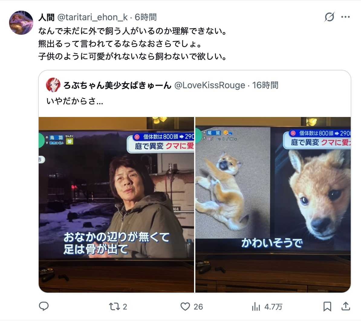 レス8番の画像3