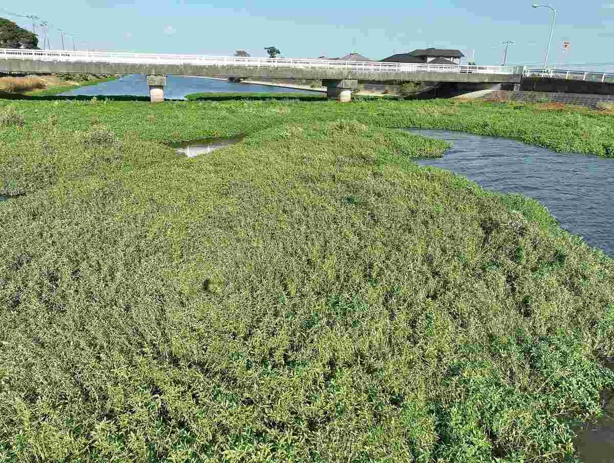 レス7番の画像2