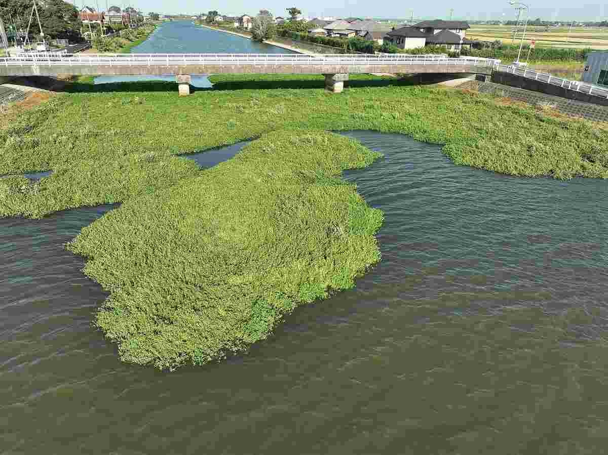 レス7番の画像5