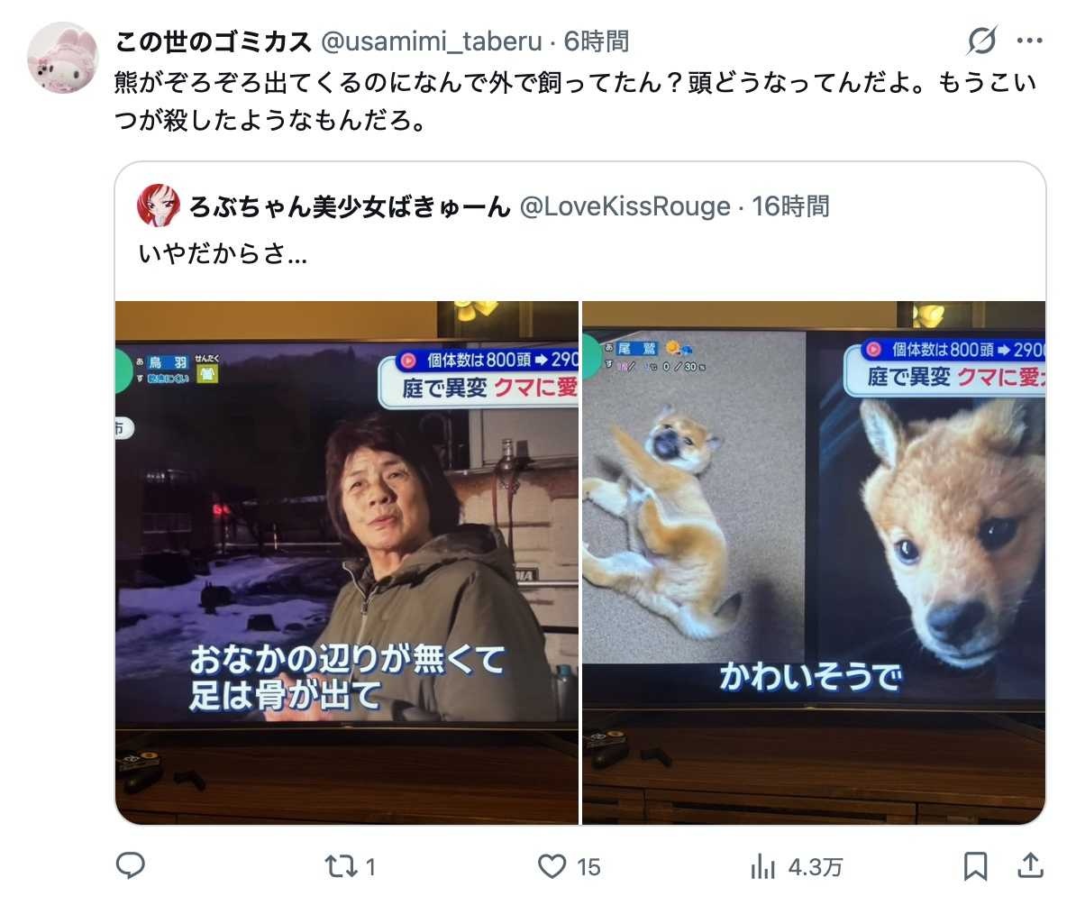 レス8番の画像4