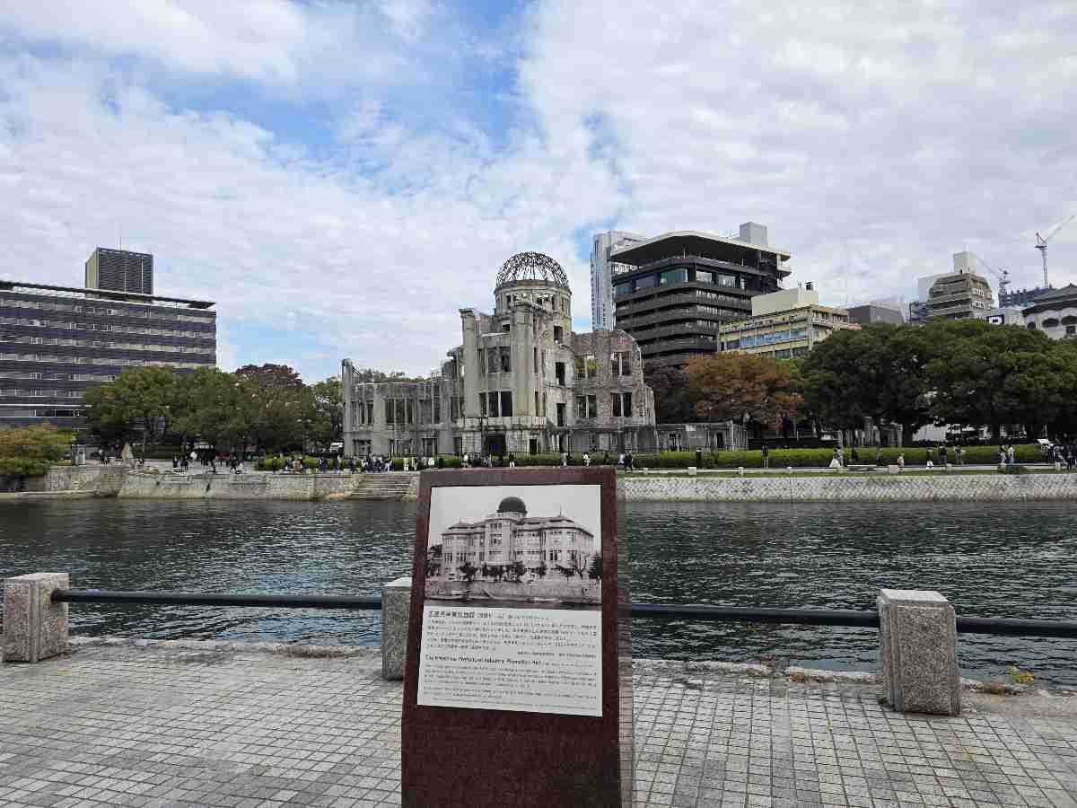 レス9番の画像3