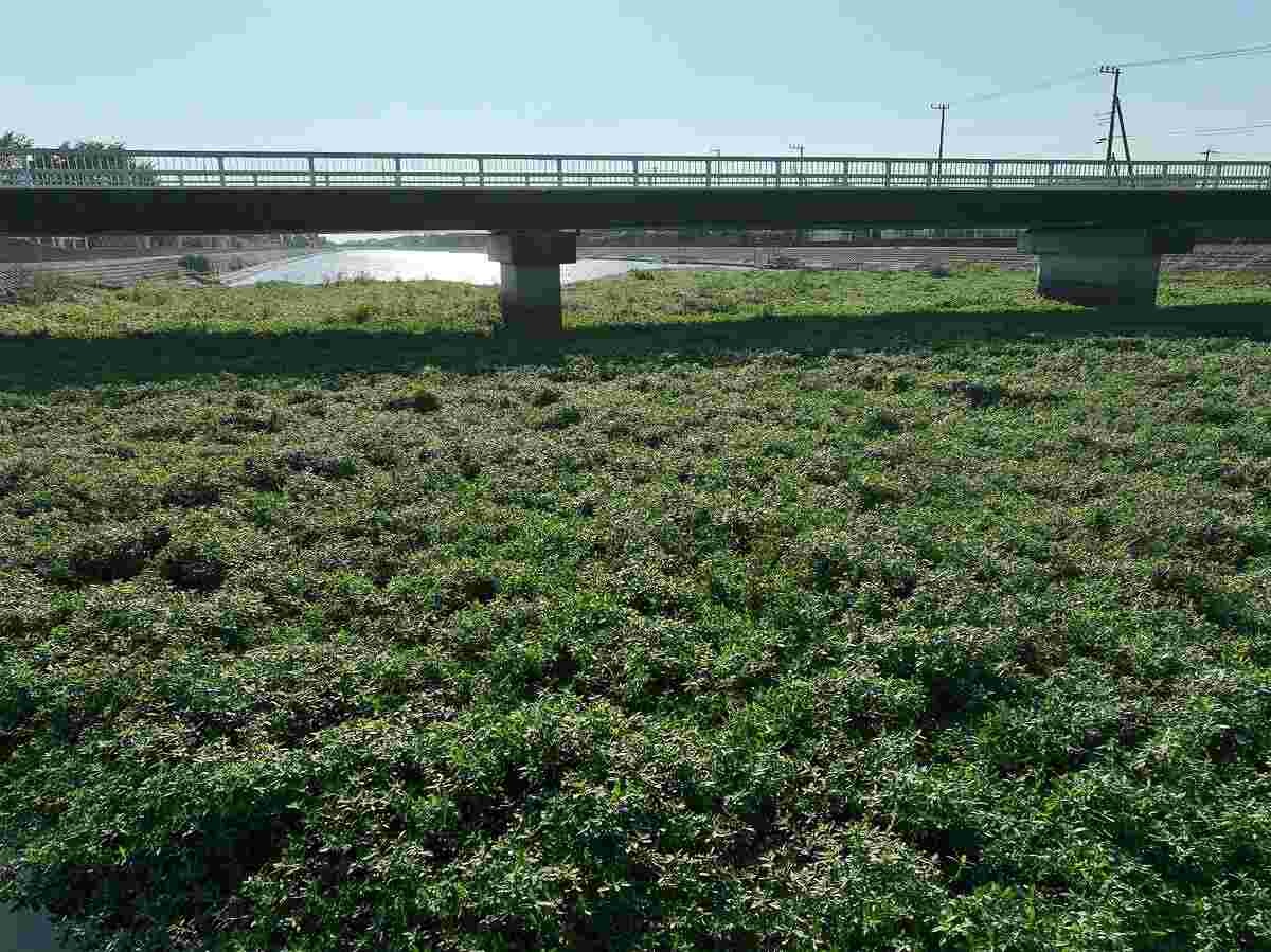 レス7番の画像4