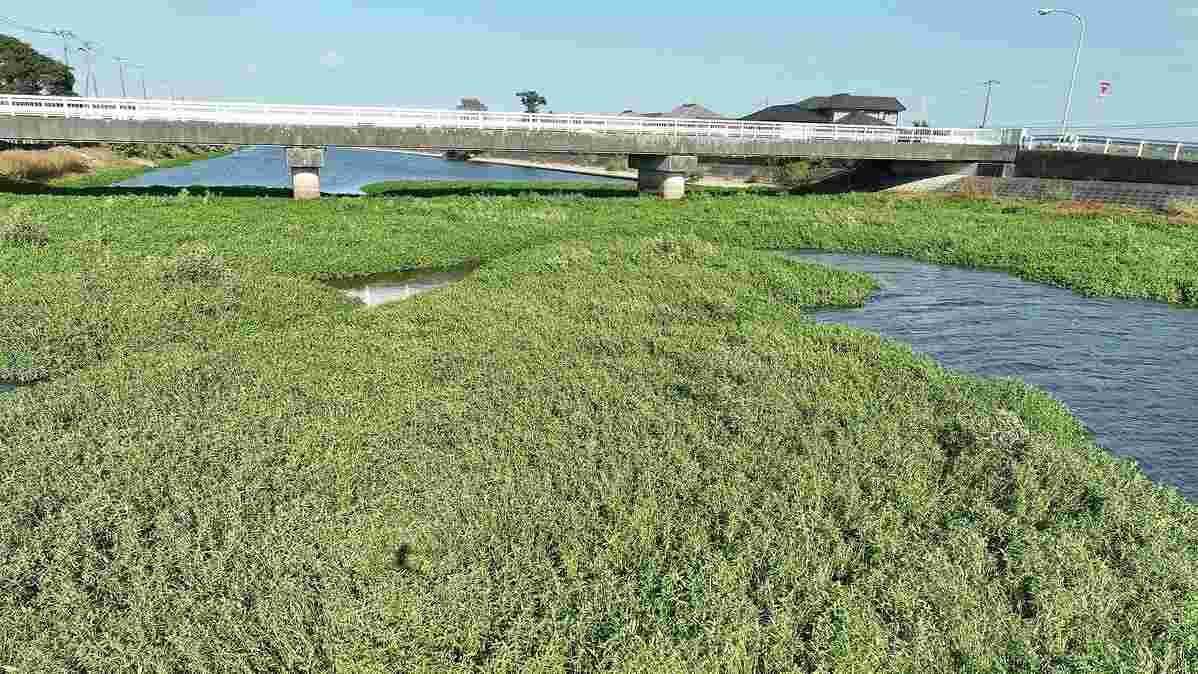 レス7番の画像1