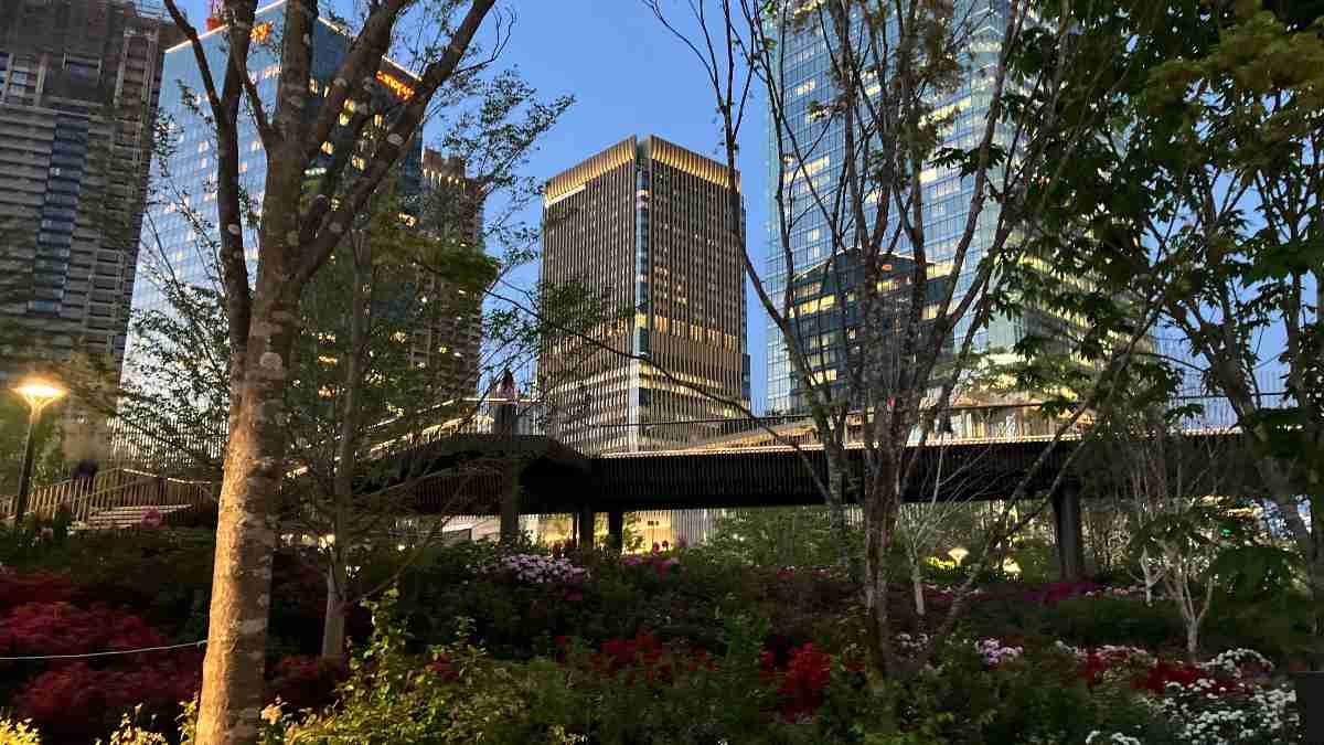 レス3番の画像8