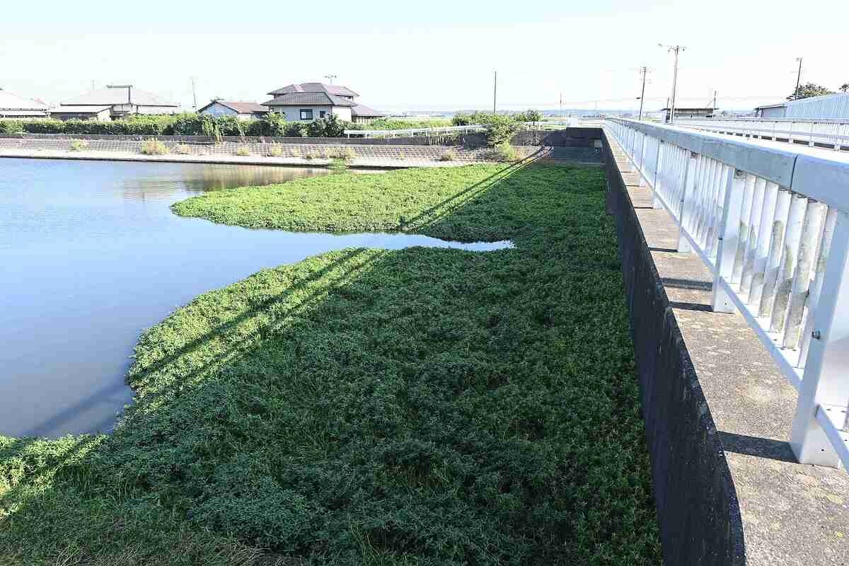 レス7番の画像8