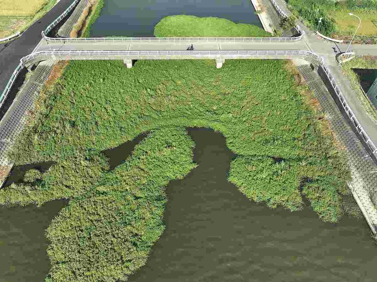 レス7番の画像6