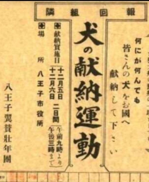 レス1番の画像3