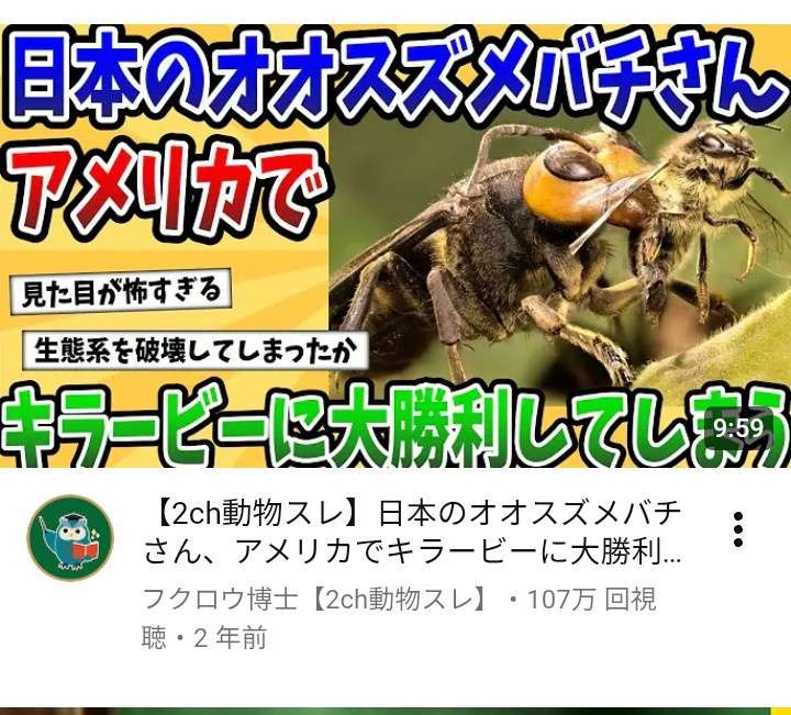 レス1番の画像2