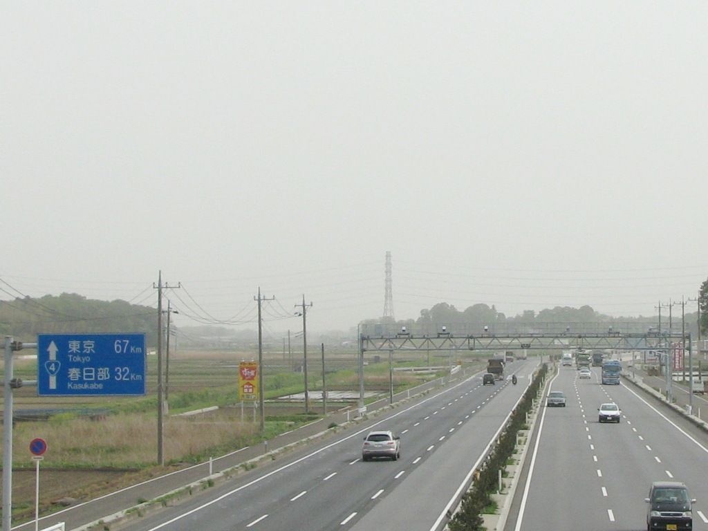 レス11番の画像1