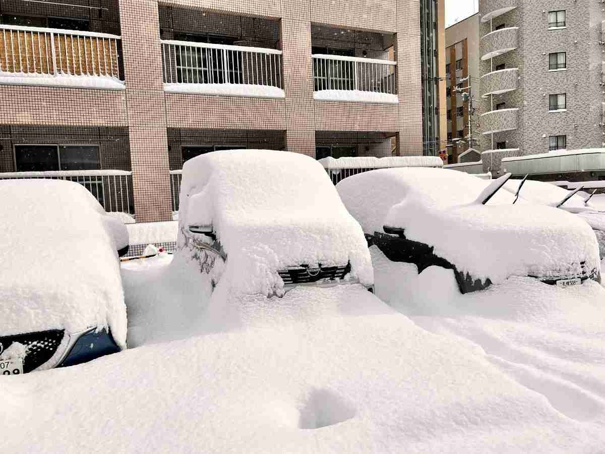 レス1番の画像2