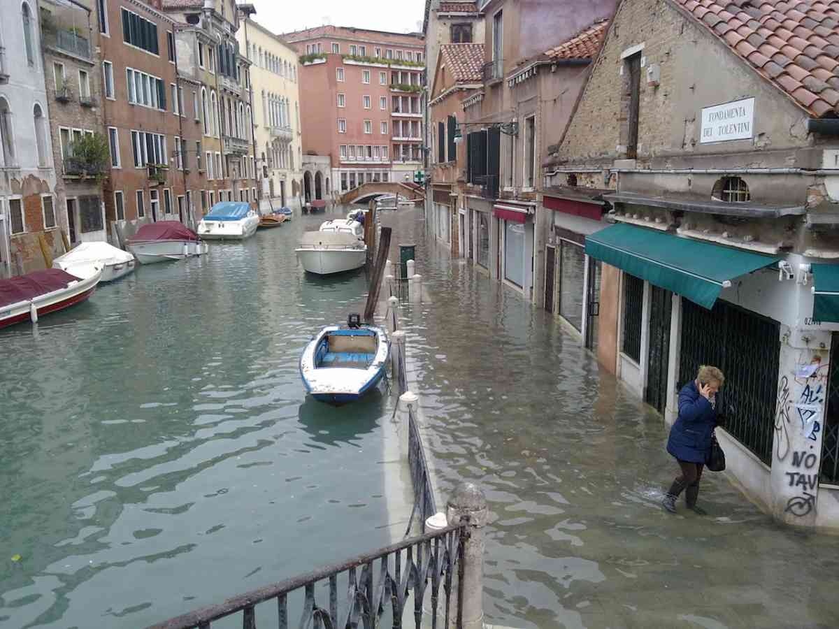 レス33番の画像1