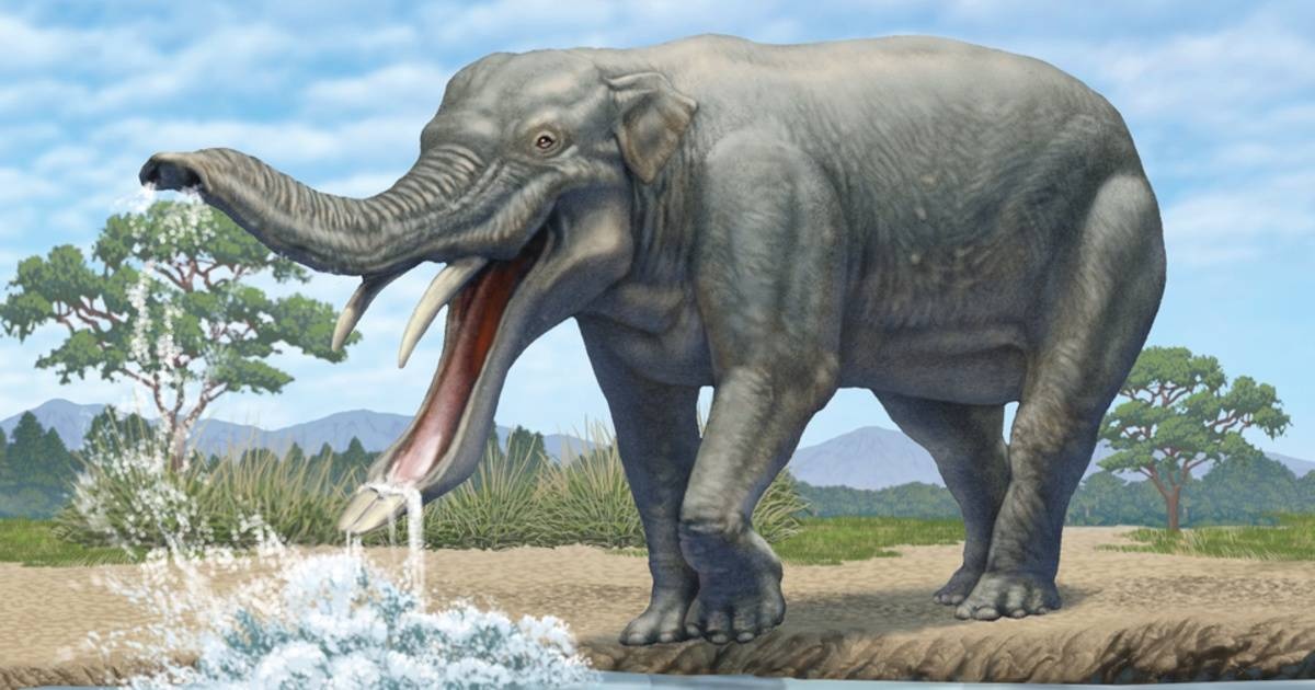 レス2番の画像1