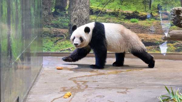 記事サムネイル