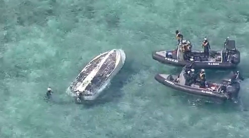 レス2番の画像5