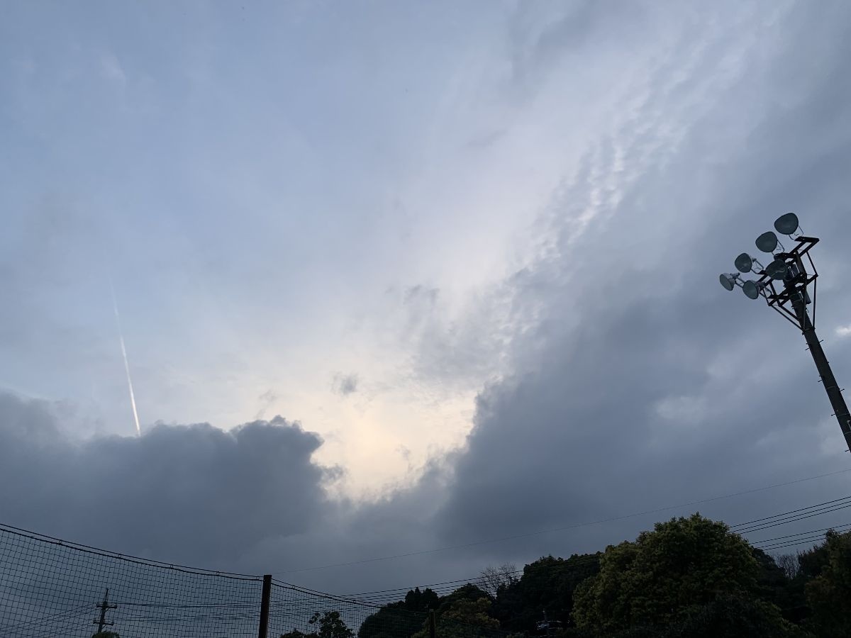 レス26番の画像1