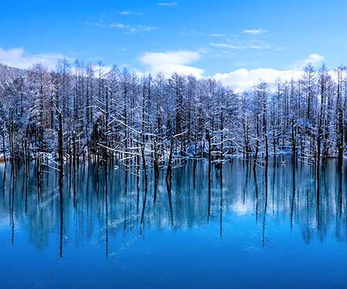 記事サムネイル