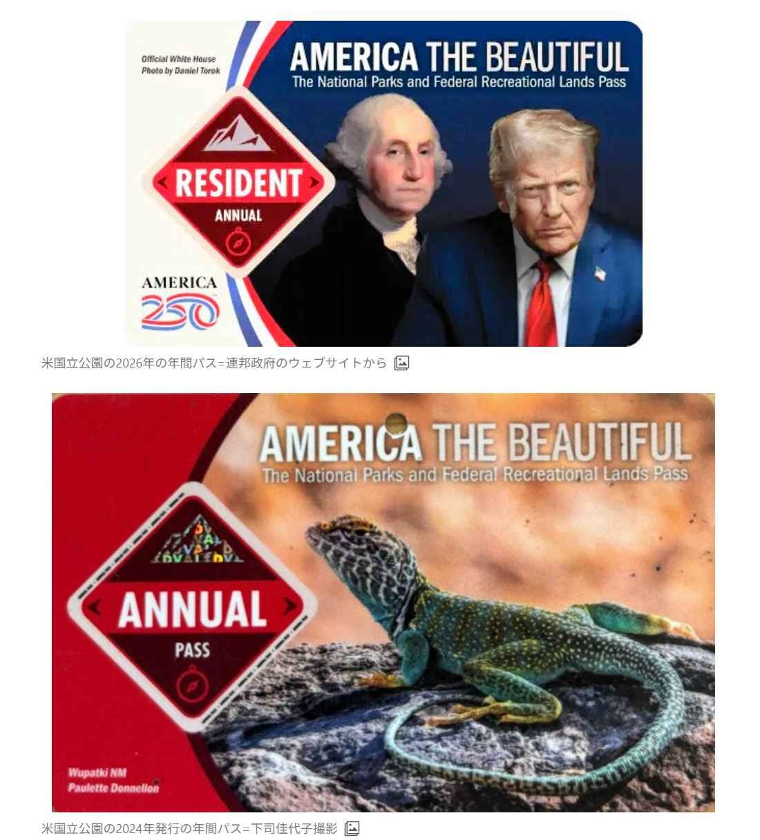 レス1番の画像3