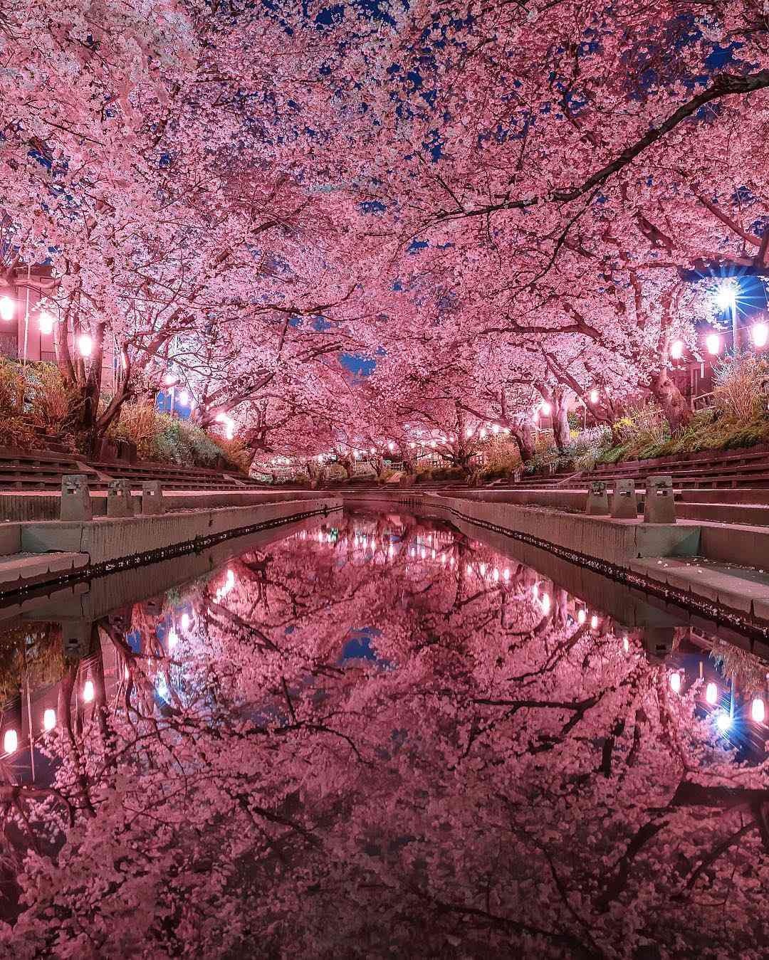 レス2番の画像7