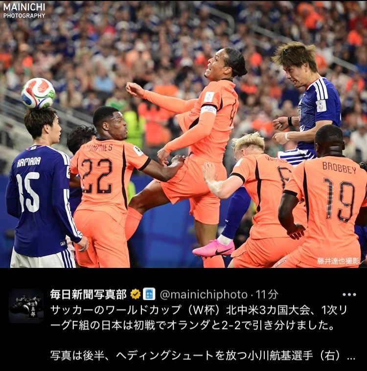 レス12番の画像1