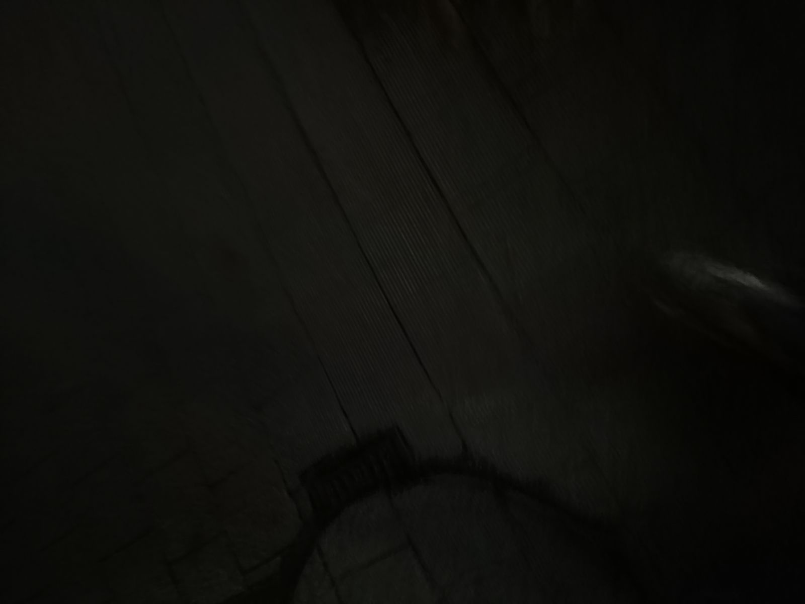 レス5番の画像5